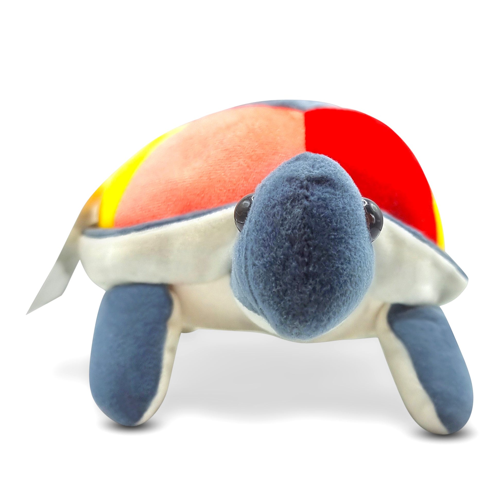 Goldenhub Multicolour Tortoise Small Cute 30 cm