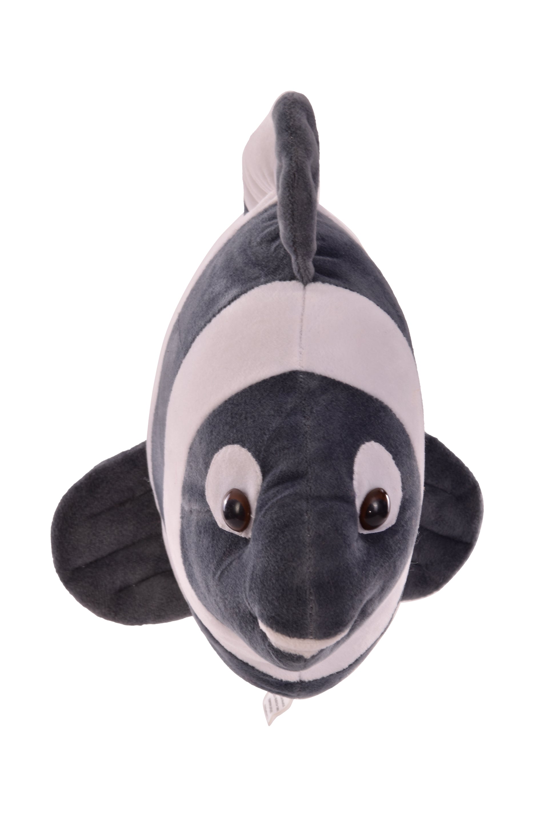 Goldenhub Toys Teddy  Grey Clownfish